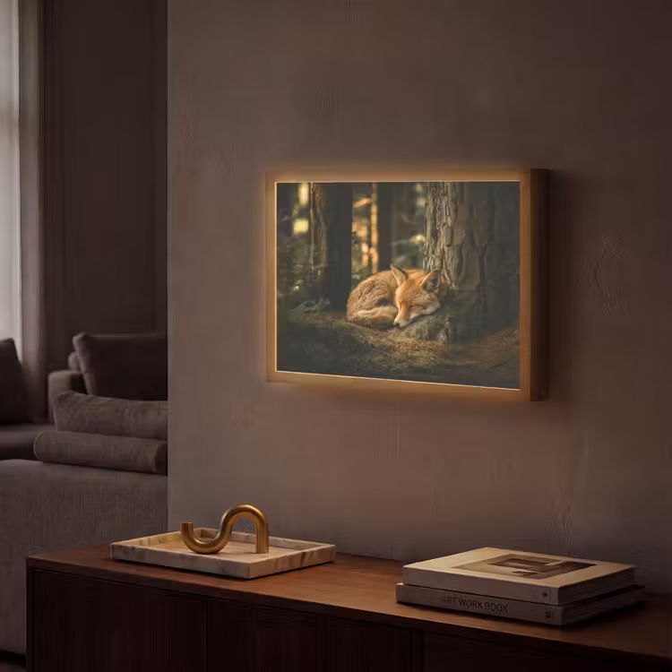 Lightbox - Wandlamp - Vos - Bos - Slapen — 2
