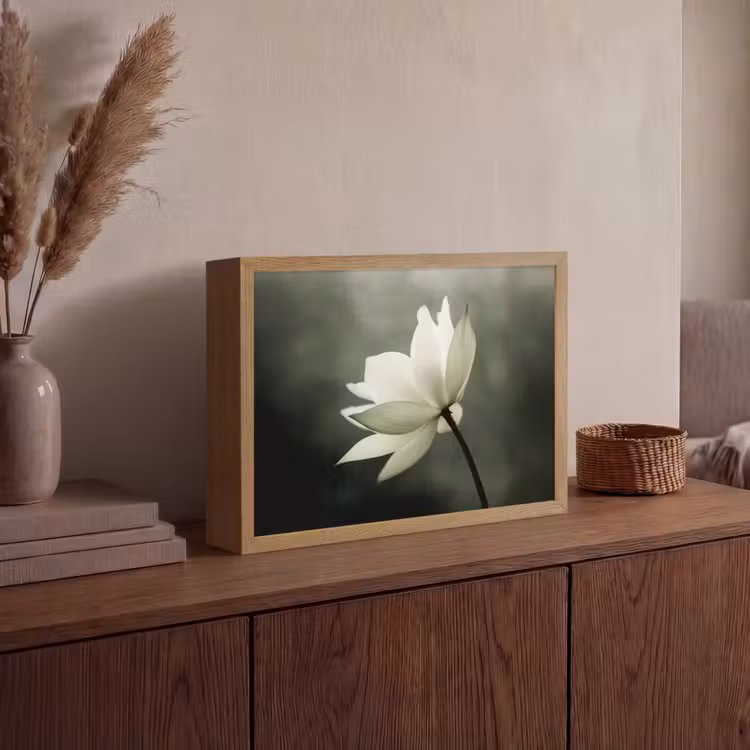 Lightbox - Wandlamp - Wit - Lotus - Donker - Bloem — 4