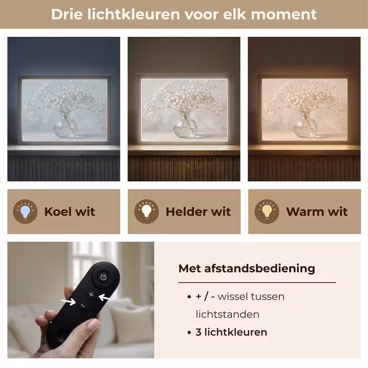 Lightbox - Wandlamp - Vaas - Gipskruid - Wit — 8