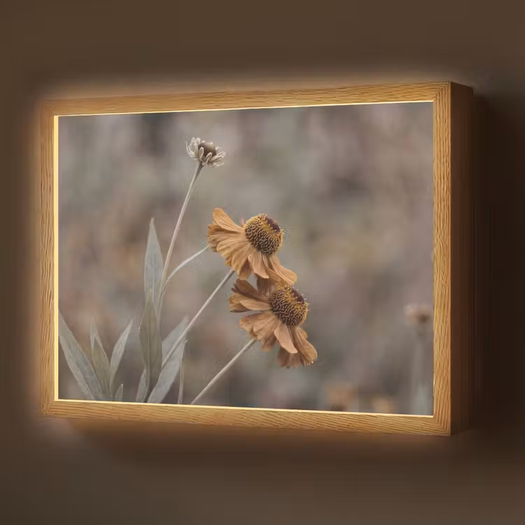 Lightbox - Wandlamp - Zonnehoed - Droogbloemen - Geel - Warm