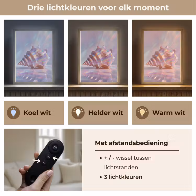 Lightbox - Wandlamp - Schelp - Glanzend - Regenboogtinten — 7