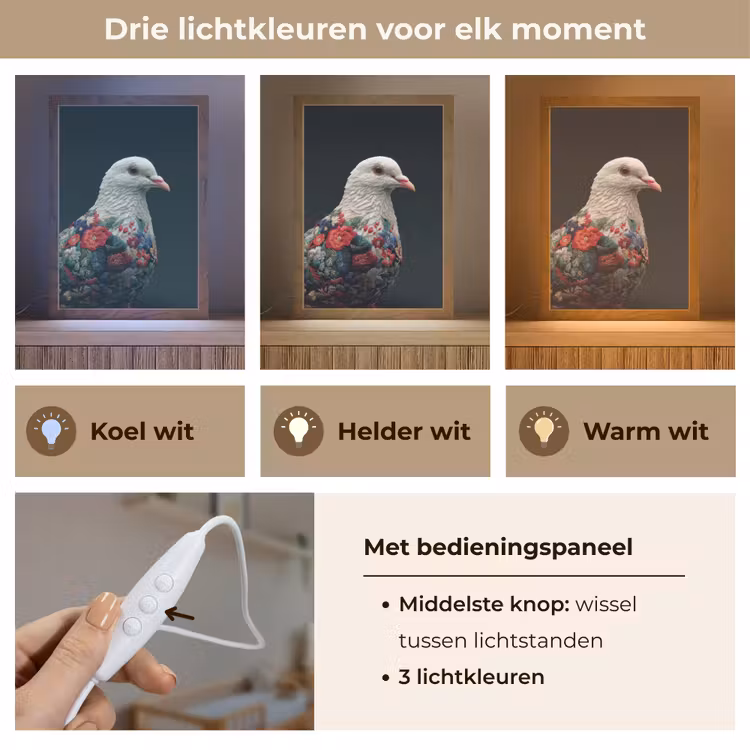 Lightbox - Wandlamp - Duif - Bloemen - Wit - Zwart — 5