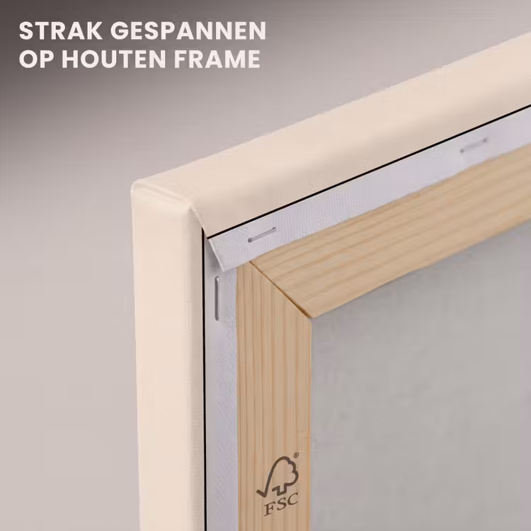 Canvas schilderij - Dieren - Slak - Kleurrijk - Illustratie — 6
