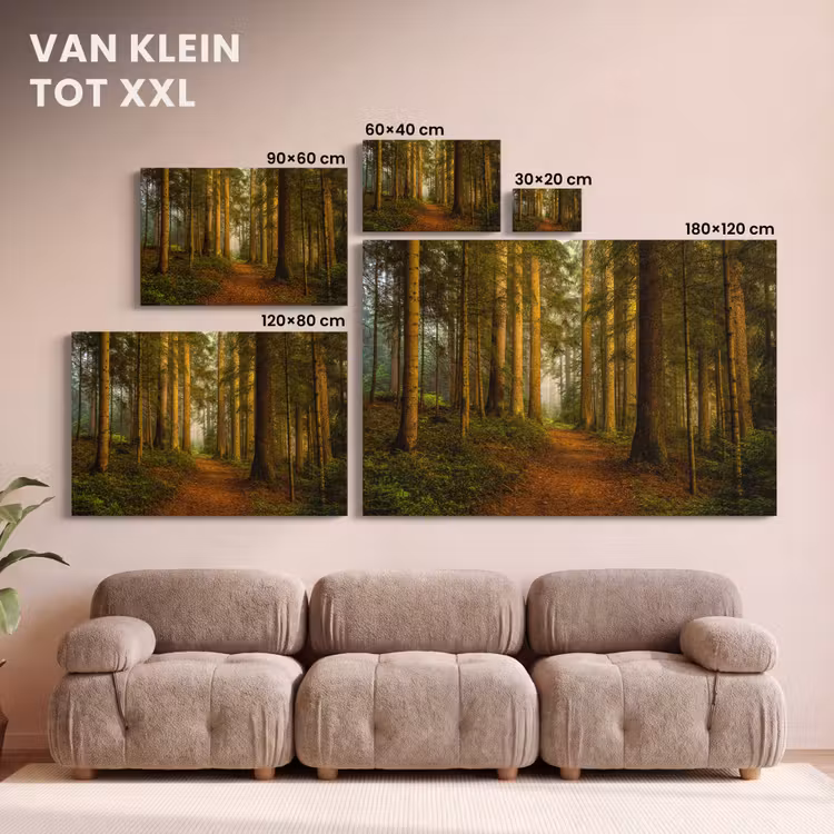 Canvas schilderij - Bos - Natuur - Bomen - Landschap - Bladeren — 8