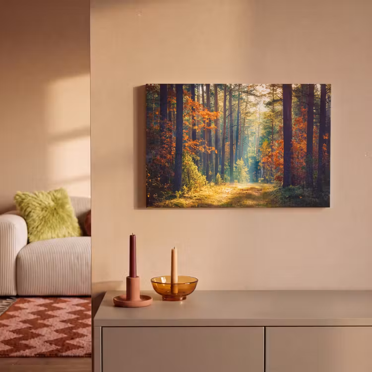 Canvas schilderij - Wald - Sonne - Natur - Herbst — 2