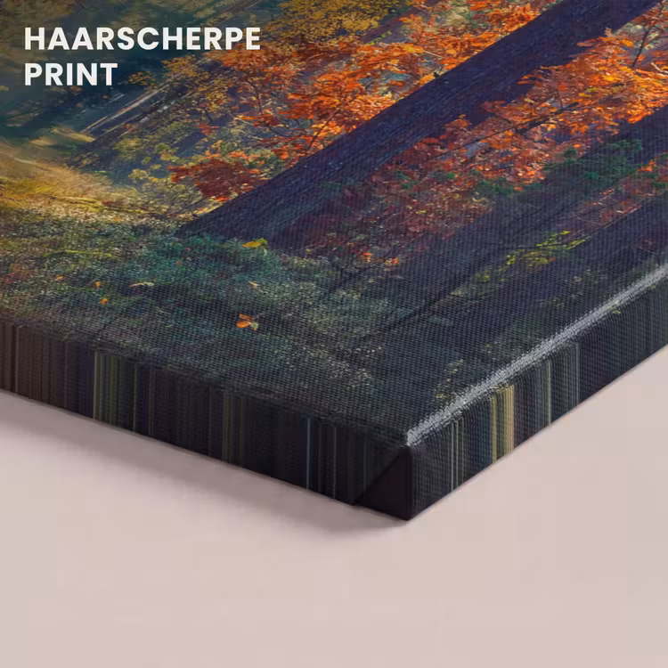 Canvas schilderij - Wald - Sonne - Natur - Herbst — 5
