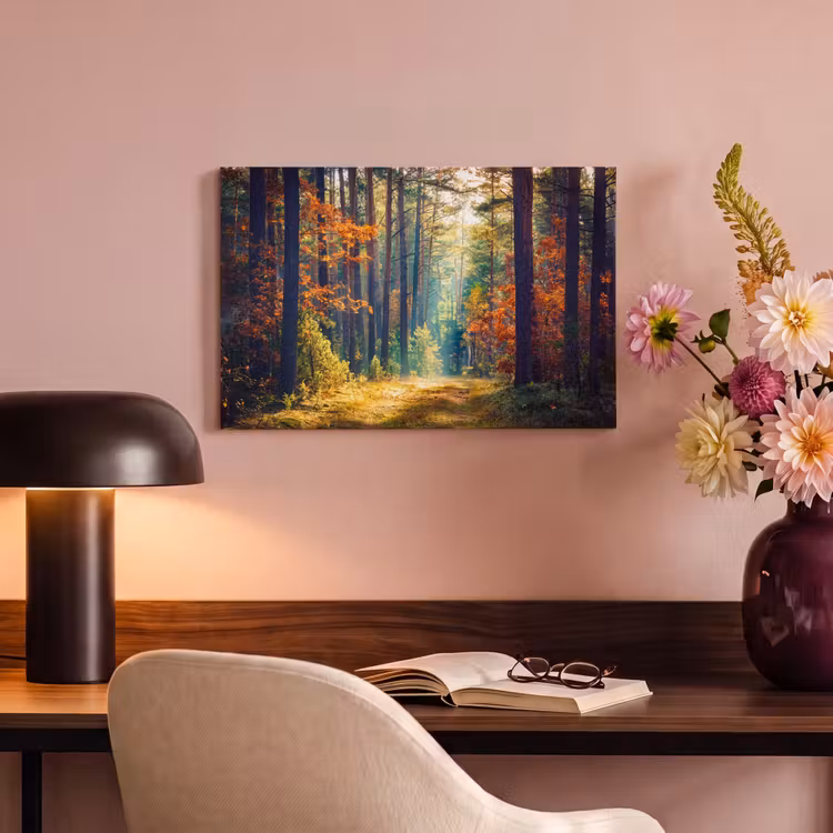 Canvas schilderij - Wald - Sonne - Natur - Herbst — 6