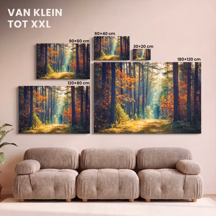 Canvas schilderij - Wald - Sonne - Natur - Herbst — 8