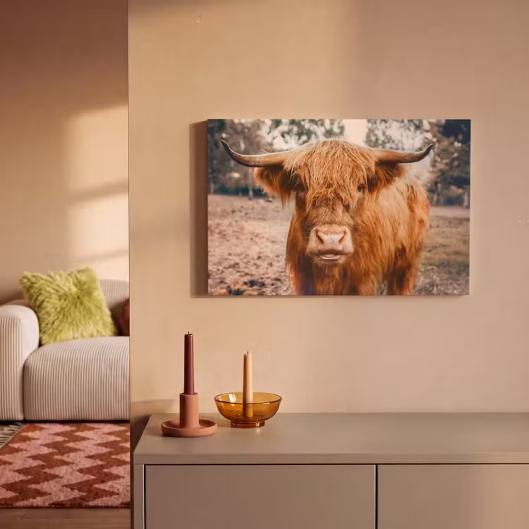 Canvas schilderij - Koe- Schotse hooglander - Hoorns - Bruin - Landschap — 2