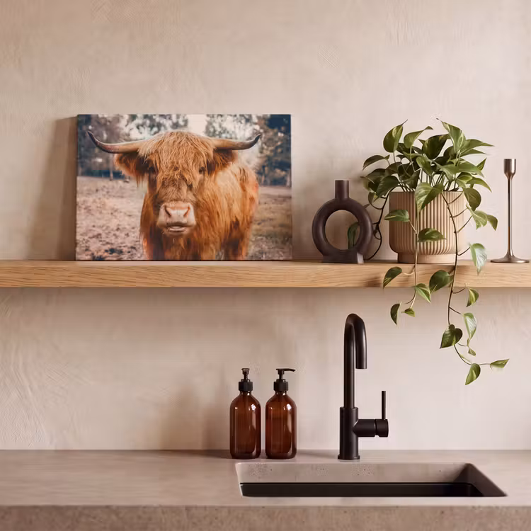 Canvas schilderij - Koe- Schotse hooglander - Hoorns - Bruin - Landschap — 4