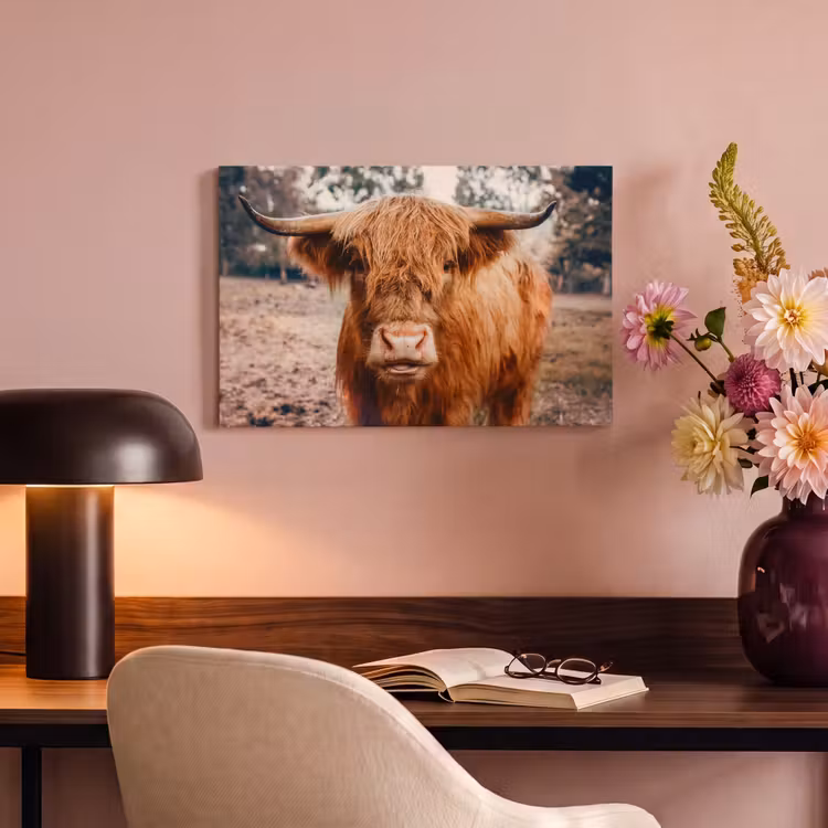 Canvas schilderij - Koe- Schotse hooglander - Hoorns - Bruin - Landschap — 6