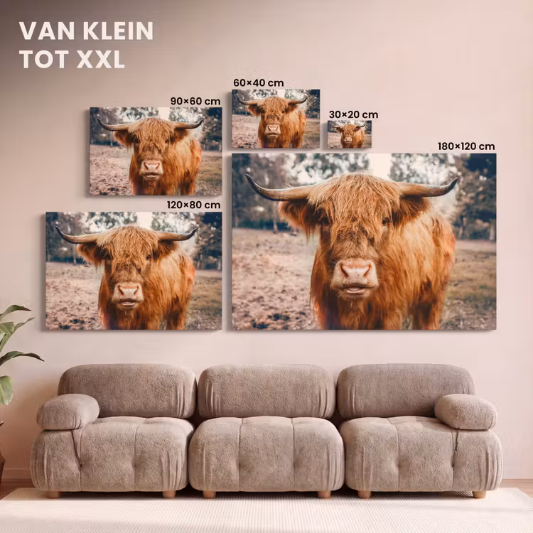 Canvas schilderij - Koe- Schotse hooglander - Hoorns - Bruin - Landschap — 8
