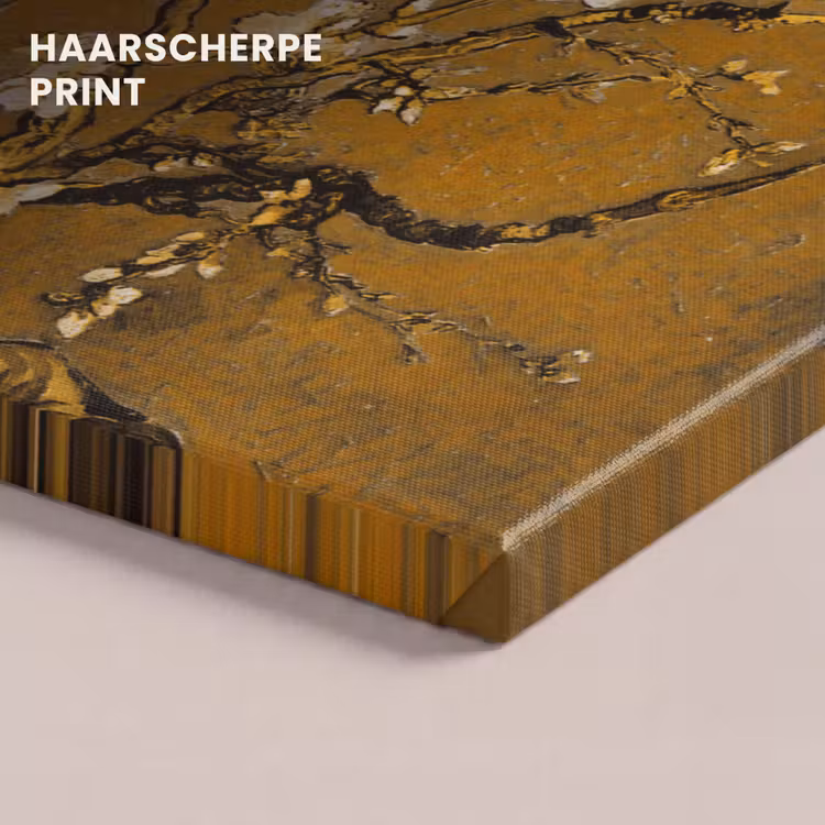Canvas schilderij - Amandelbloesem - Kunst - Van Gogh - Goud — 5