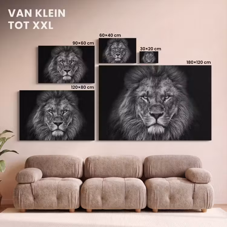 Canvas schilderij - Leeuw - Dieren - Zwart - Wit — 8