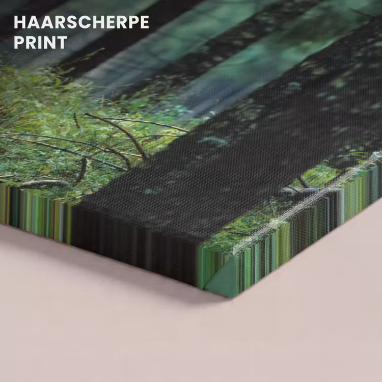 Canvas schilderij - Hert - Bos - Bomen - Dieren - Natuur — 5