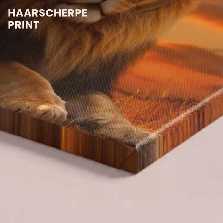 Canvas schilderij - Leeuwen - Zonsondergang - Afrika - Savanne - Dieren — 5