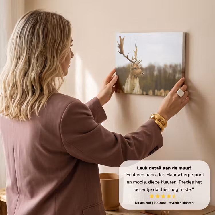Canvas schilderij - Damhert - Bos - Kudde - Dieren - Natuur — 3