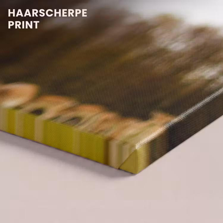 Canvas schilderij - Damhert - Bos - Kudde - Dieren - Natuur — 5