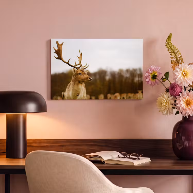Canvas schilderij - Damhert - Bos - Kudde - Dieren - Natuur — 6