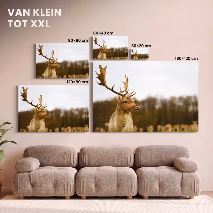Canvas schilderij - Damhert - Bos - Kudde - Dieren - Natuur — 8