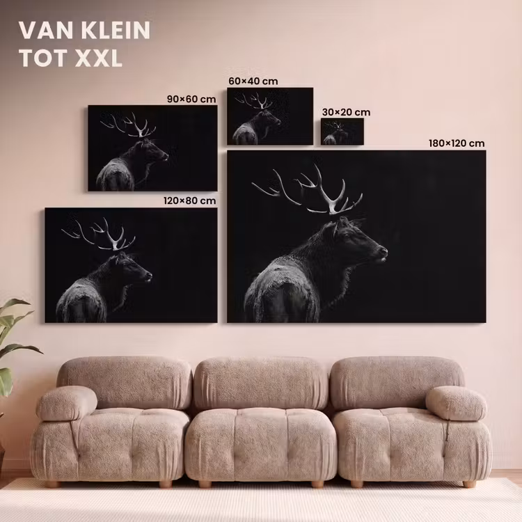 Canvas schilderij - Hert - Zwart - Portret - Gewei - Dieren — 8