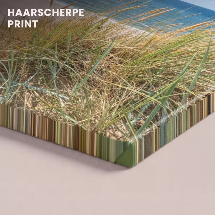 Canvas schilderij - Duin - Gras - Zee - Strand — 5