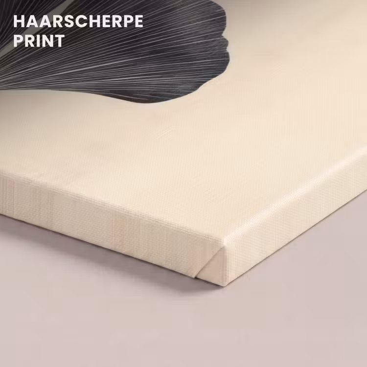 Canvas schilderij - Bladeren - Minimalistisch - Zwart — 5