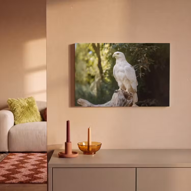 Canvas schilderij - Arend - Hout - Wit - Planten — 2