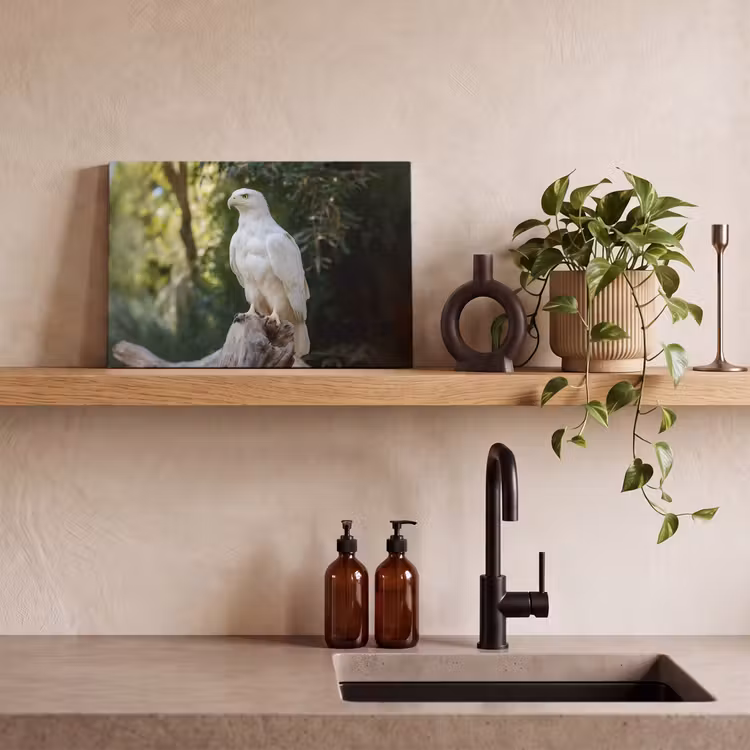 Canvas schilderij - Arend - Hout - Wit - Planten — 4