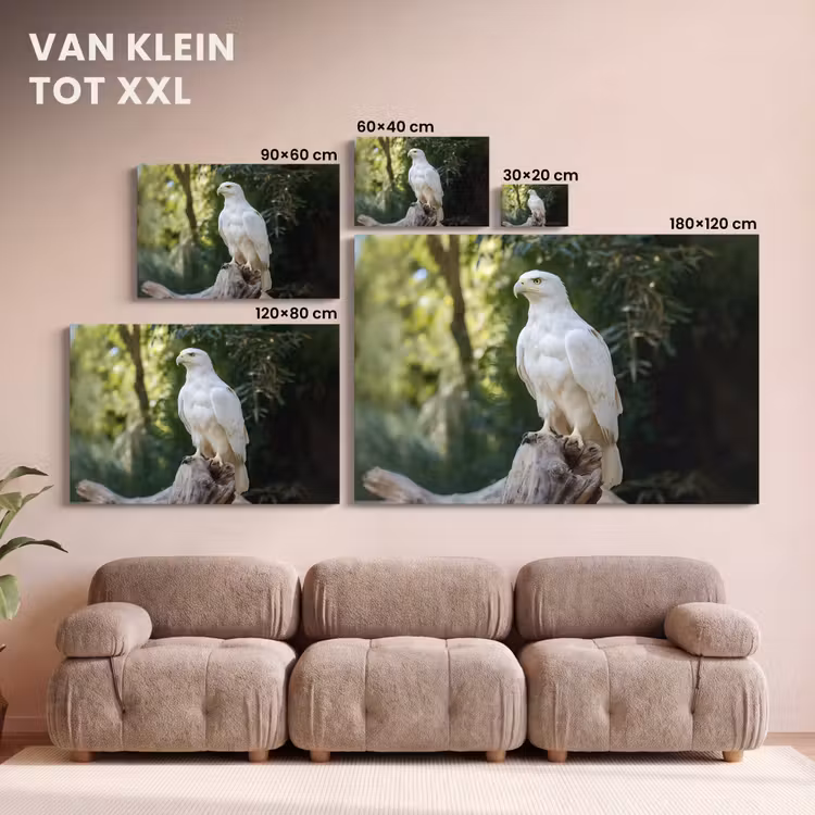 Canvas schilderij - Arend - Hout - Wit - Planten — 8