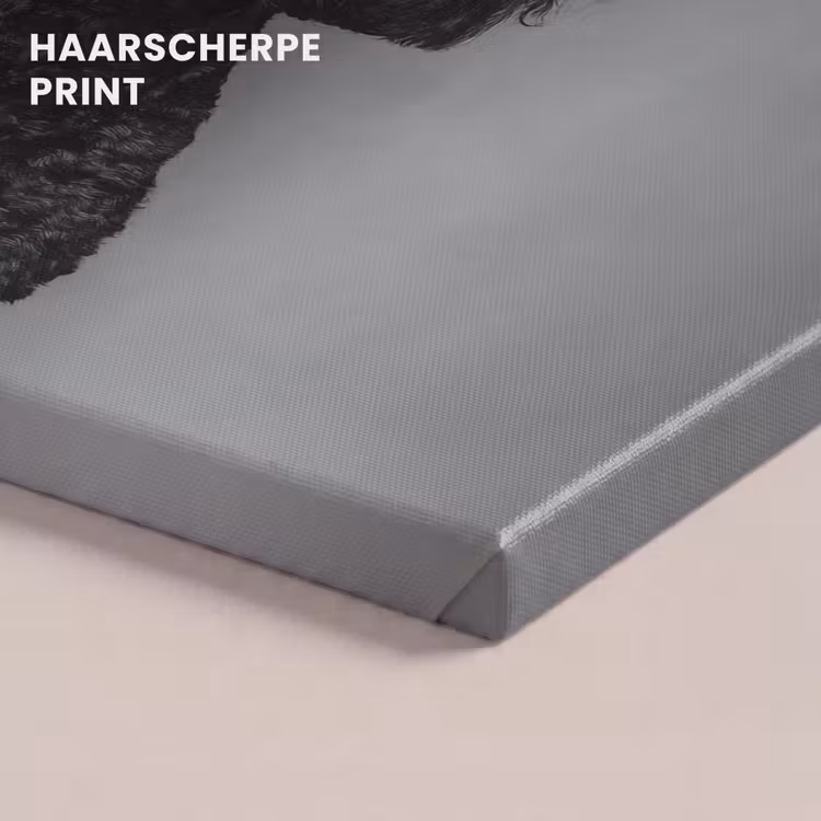 Canvas schilderij - Hond - Krullen - Zonnebril - Wijn — 5