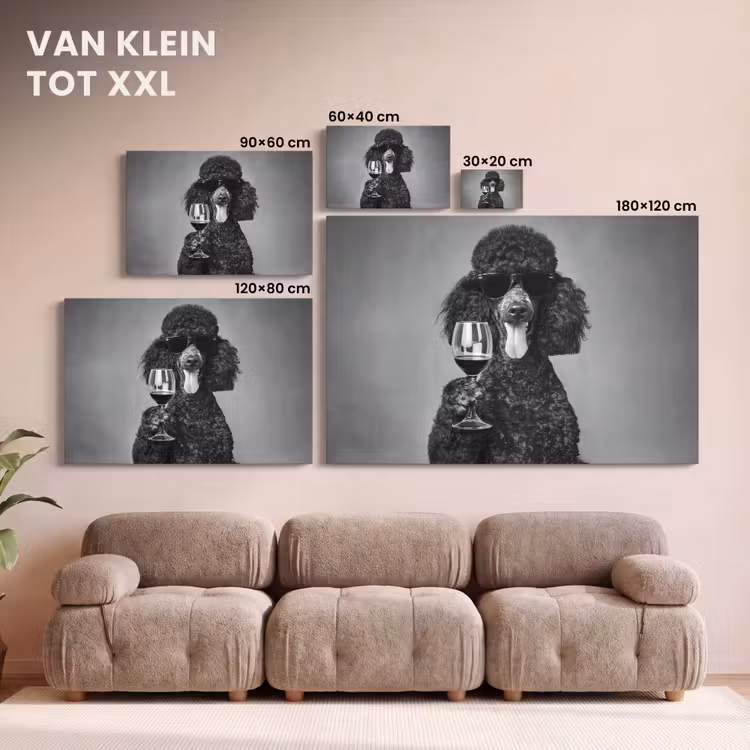 Canvas schilderij - Hond - Krullen - Zonnebril - Wijn — 8