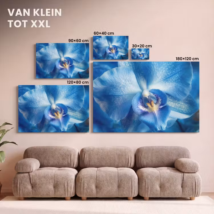 Canvas schilderij - Blauw - Orchidee - Elegeant — 8