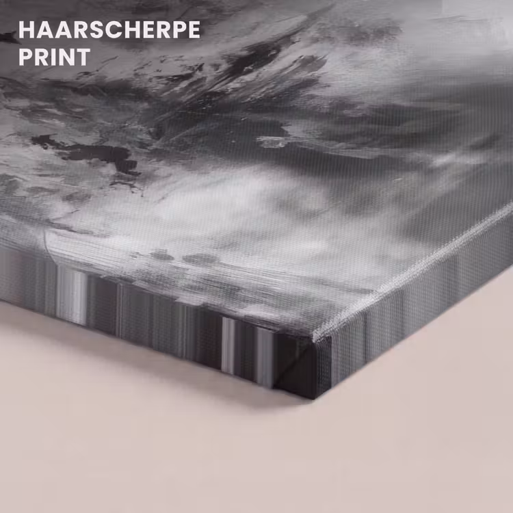 Canvas schilderij - Krijger - Draak - Grijs — 5