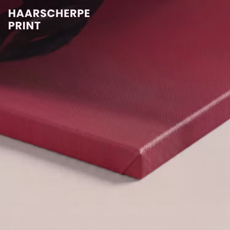 Canvas schilderij - Hengst - Steigert - Rood — 5