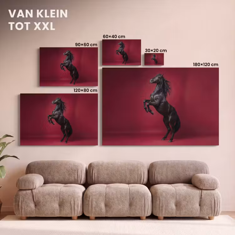 Canvas schilderij - Hengst - Steigert - Rood — 8