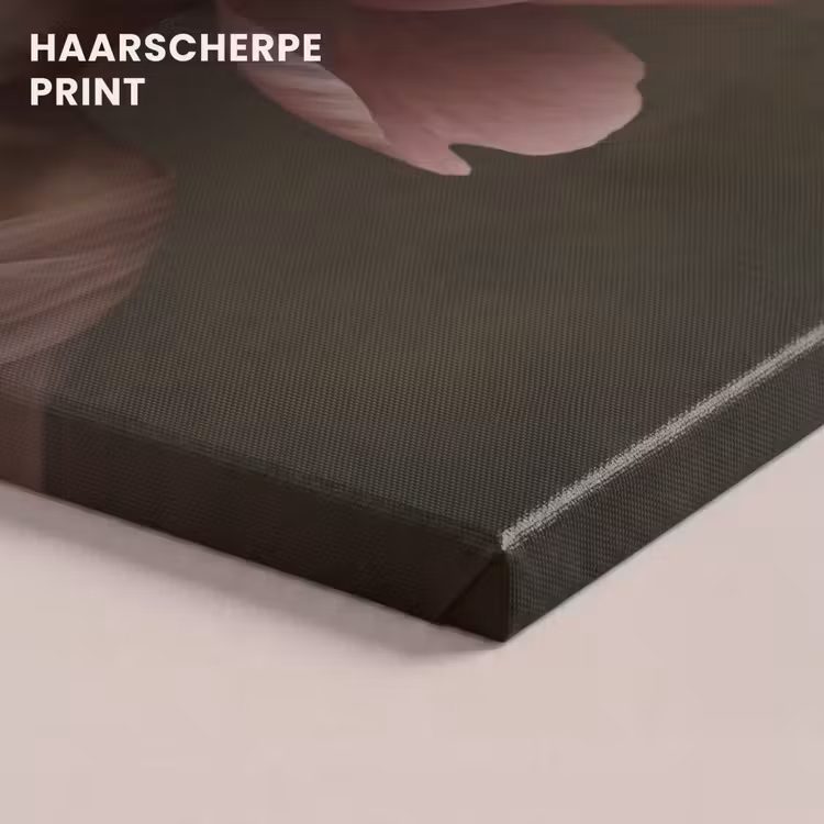Canvas schilderij - Gezicht - Roos - Roze — 5