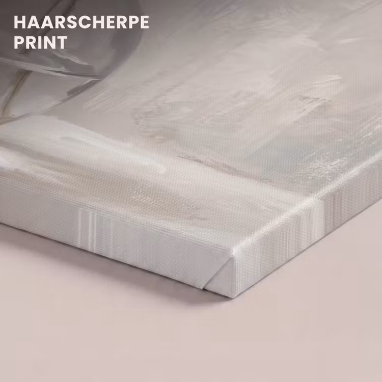 Canvas schilderij - Gipskruid - Vaas - Wit — 5