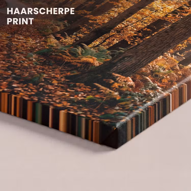 Canvas schilderij - Bospad - Herfstbos - Bladeren - Oranje - Nostalgisch — 5
