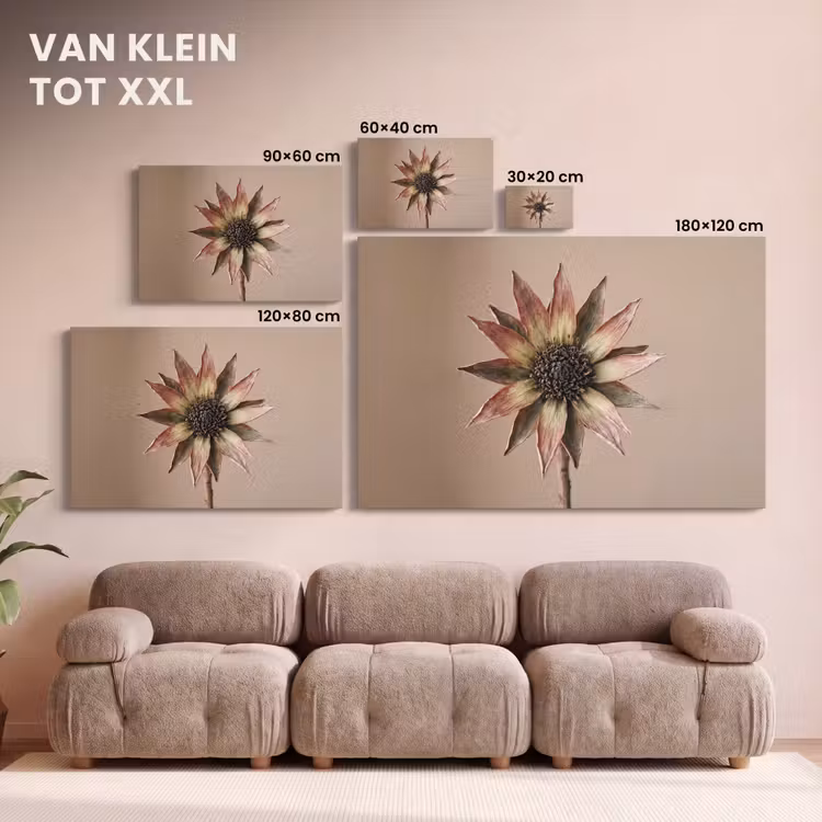 Canvas schilderij - Droogbloem - Protea - Vintage - Beige - Rustiek — 8