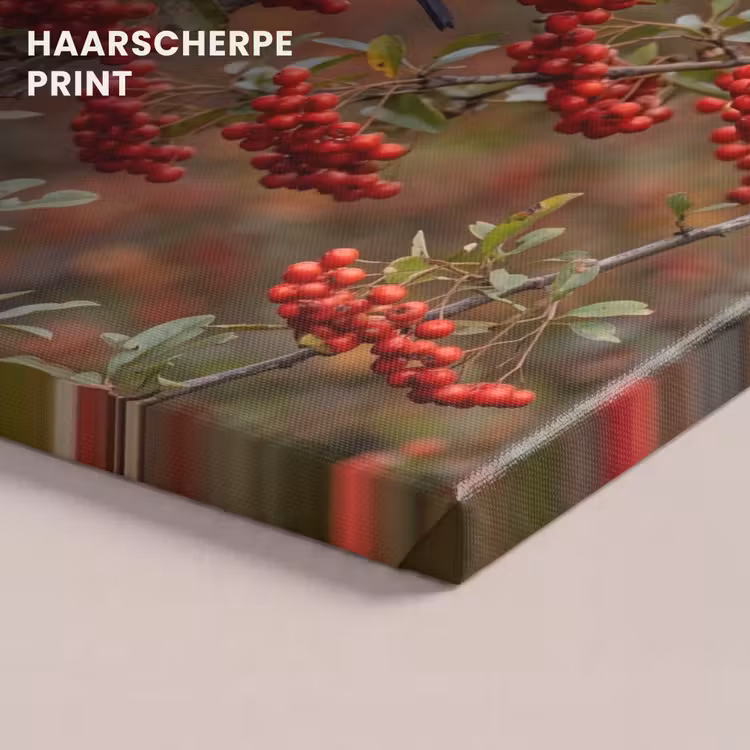 Canvas schilderij - Goudvink - Bessen - Herfst - Natuur - Kleurrijk — 5