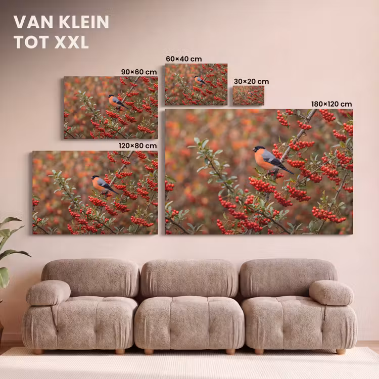 Canvas schilderij - Goudvink - Bessen - Herfst - Natuur - Kleurrijk — 8