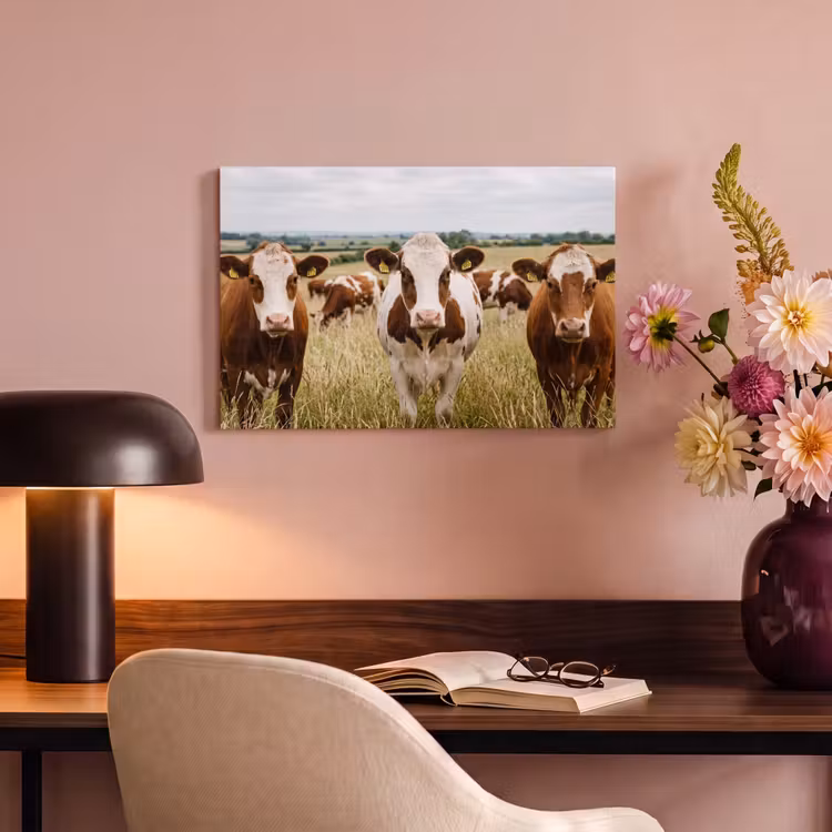 Canvas schilderij - Koeien - Portret - Weide - Boerderij - Nieuwsgierig — 6