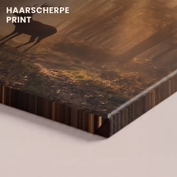 Canvas schilderij - Hert - Bos - Mistig - Natuur - Goud — 5