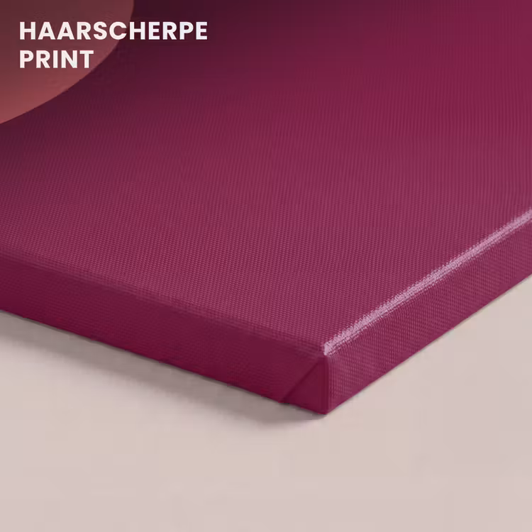 Canvas schilderij - Abstract - Vormen - Roze - Modern - Design — 4