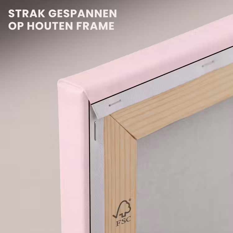 Canvas schilderij - Dieren - Skaten - Illustratie - Speels - Roze — 6
