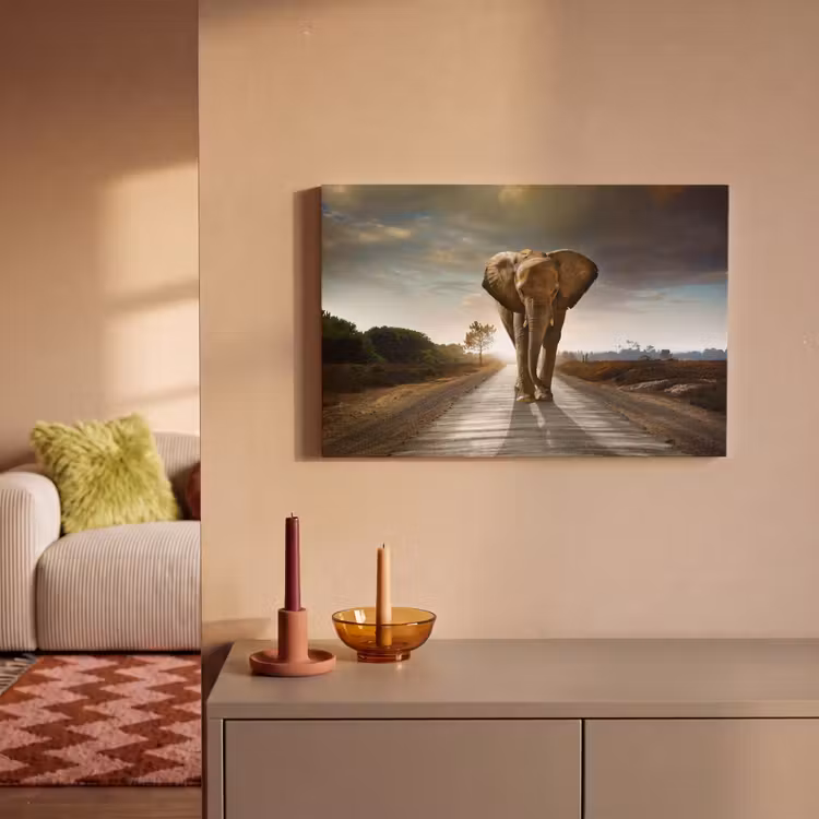 Canvas schilderij - Olifant - Weg - Dieren - Zonsondergang - Landschap — 2