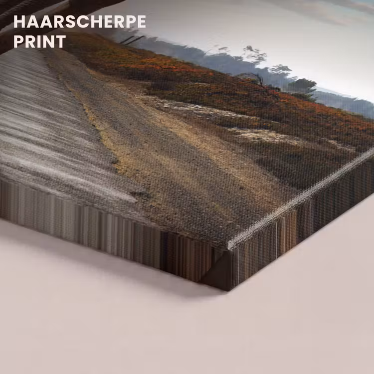 Canvas schilderij - Olifant - Weg - Dieren - Zonsondergang - Landschap — 5