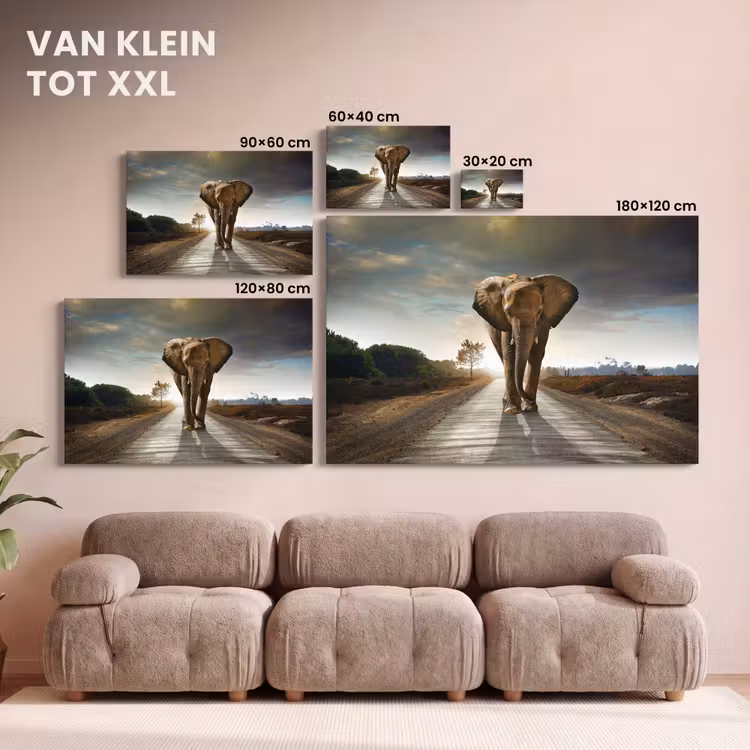 Canvas schilderij - Olifant - Weg - Dieren - Zonsondergang - Landschap — 8