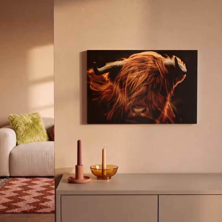 Canvas schilderij - Schotse hooglander - Koe - Hoorns - Portret - Dieren — 2